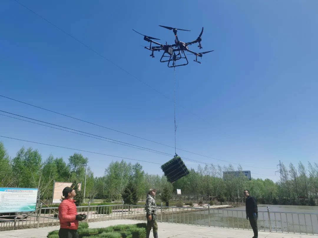 1621407885234351.jpg 640.jpg