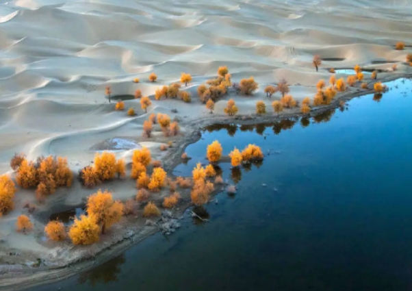 1629356237218558.jpg 16.jpg