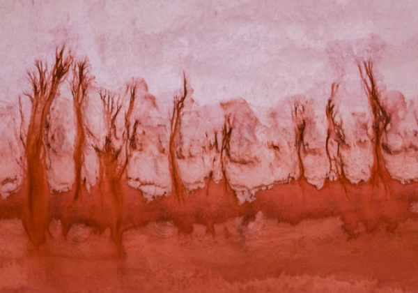 1629356270427520.jpg 20.jpg