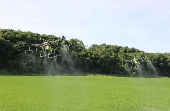 1631584496335303.jpg 21.jpg