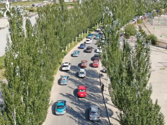 1631944838787395.jpg 3.jpg