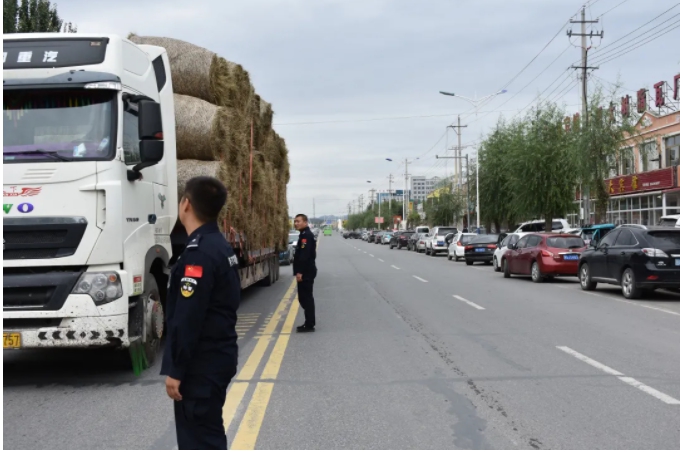 1631944878266624.jpg 6.jpg