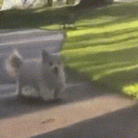 1633592426100634.gif 640.gif