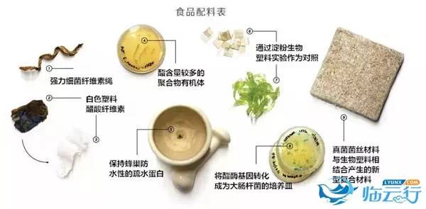 1634088740454114.jpg e2710264dc370c282790b32f12a61f82.jpg