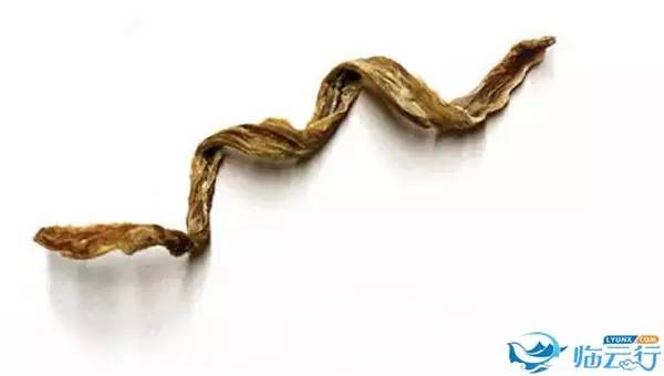 1634088756708174.jpg a059cb5ead4b4ac6dd6d67804cc2a350.jpg