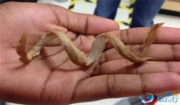 1634088775446067.jpg cdb7498e95035a49d94e8da5cbf453ee.jpg