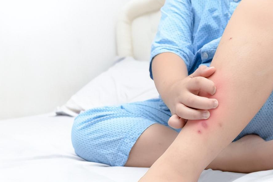 全球鷹無人機 全球鷹無人機