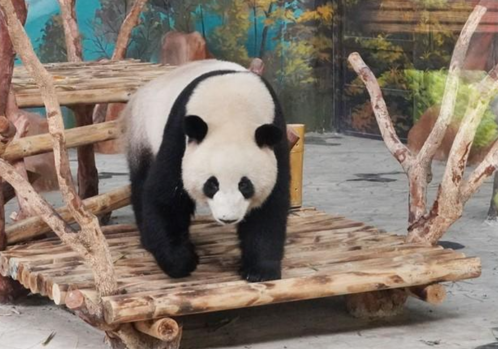 全球鷹無(wú)人機(jī) 全球鷹無(wú)人機(jī)