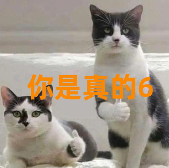 1693295540311980.jpg 1693295536166.jpg