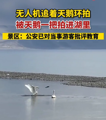 1693295595959823.jpg 1693295584514.jpg