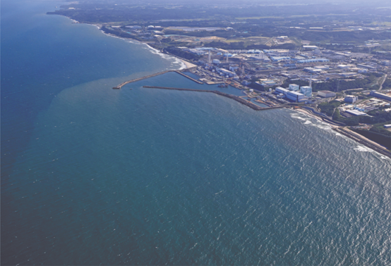 1693384537111960.jpg 1693384526531.jpg