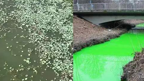 1693384808108719.png image.png