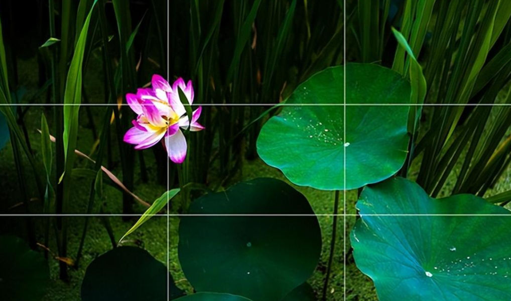 全球鷹無人機 全球鷹無人機